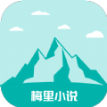 抖音9.1APP应用