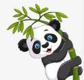 草客视频下载官方版APP应用